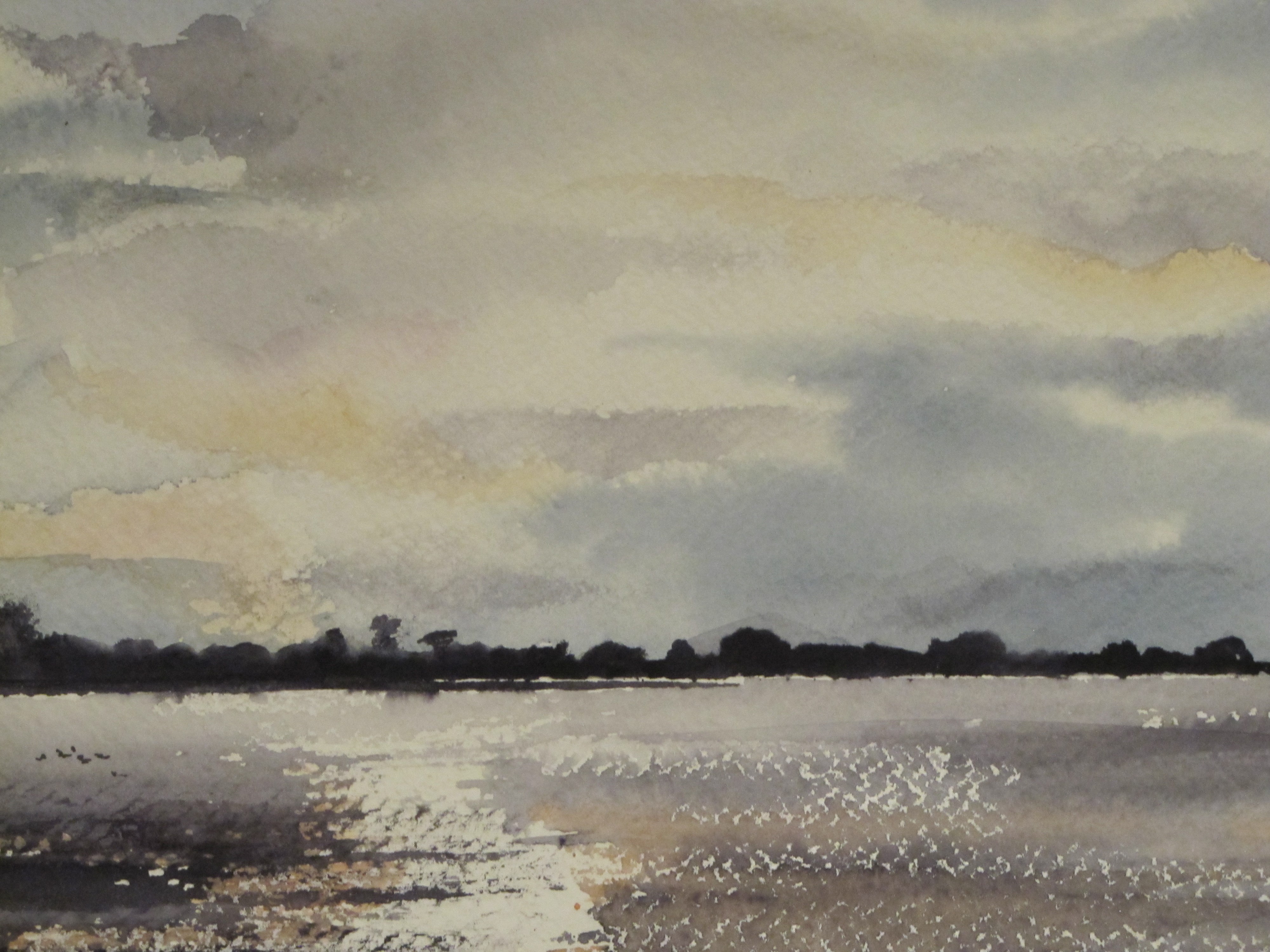 Fenland